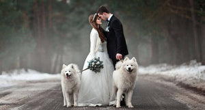 10 Awesome Winter Wedding Ideas